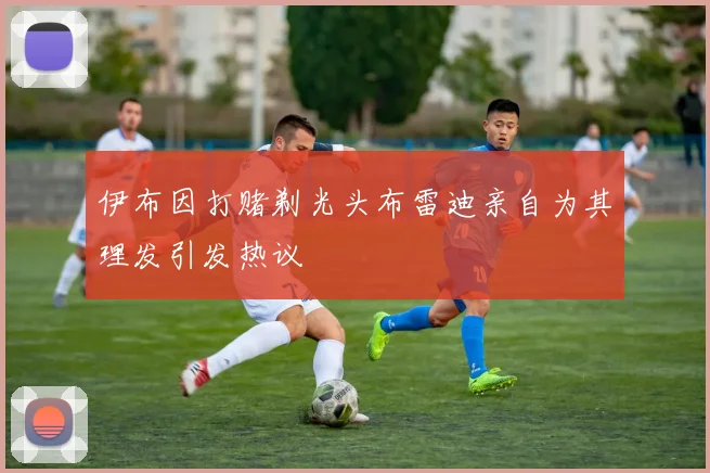 伊布因打赌剃光头布雷迪亲自为其理发引发热议