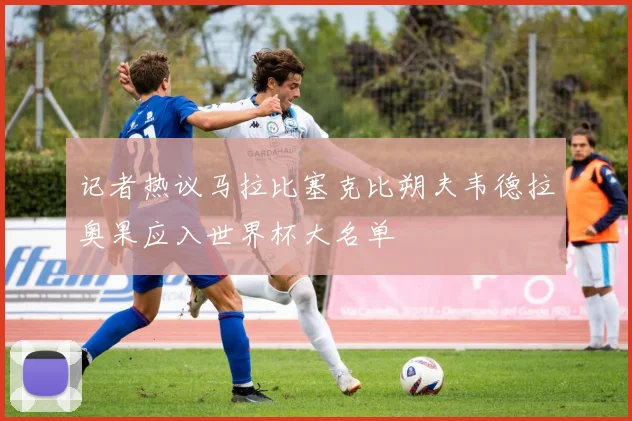 记者热议马拉比塞克比朔夫韦德拉奥果应入世界杯大名单